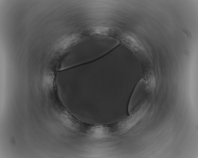 X0000112930231200909141340