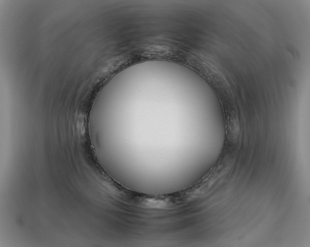 X0000112930232200909141340