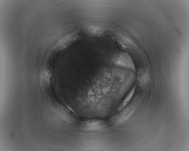 X0000112930235200909141340