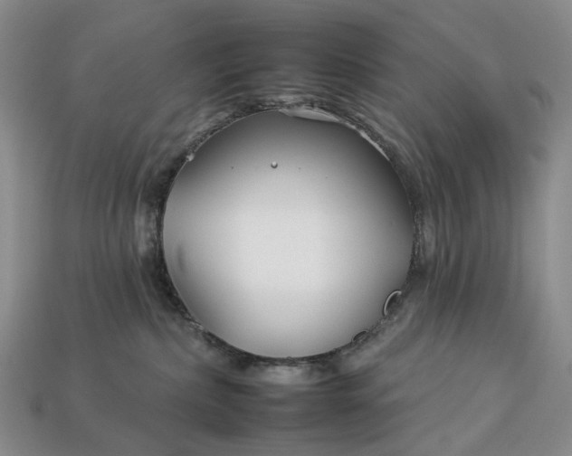 X0000112930236200909141340