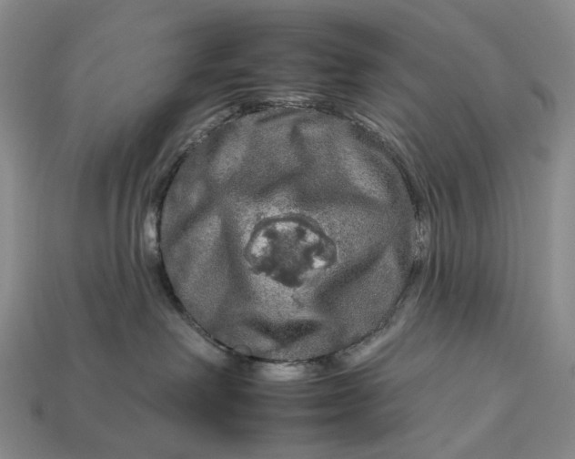 X0000112930238200909141340