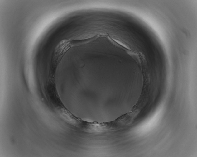 X0000112930239200909141340