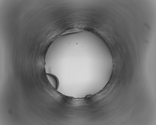 X0000112930240200909141340