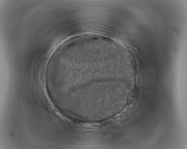 X0000112930241200909141339