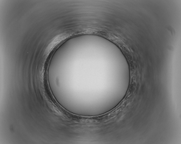 X0000112930242200909141339