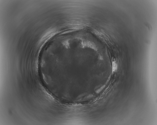 X0000112930243200909141339