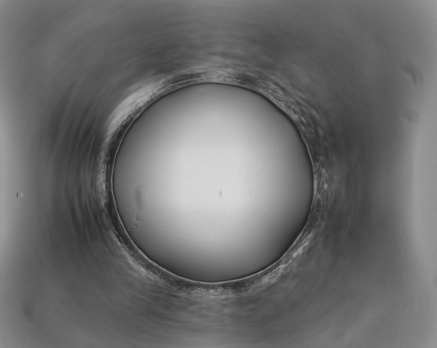 X0000112930245200909141339