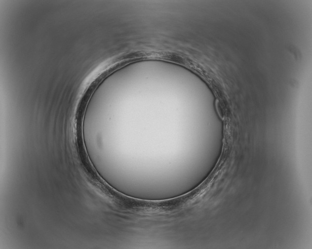 X0000112930246200909141339