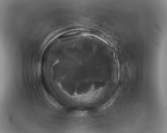 X0000112930247200909141339