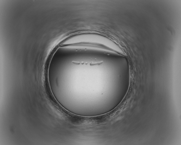 X0000112930248200909141339