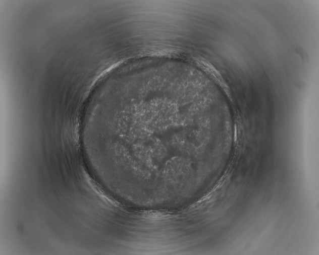 X0000112930249200909141339