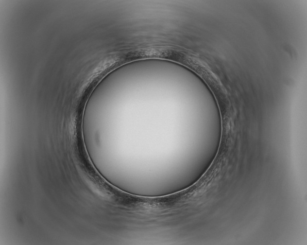 X0000112930250200909141339