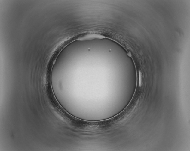 X0000112930252200909141339