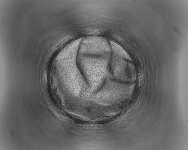 X0000112930254200909141339