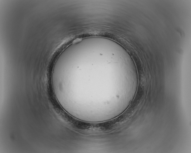 X0000112930256200909141339