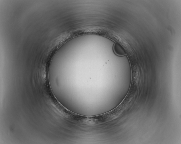 X0000112930261200909141339