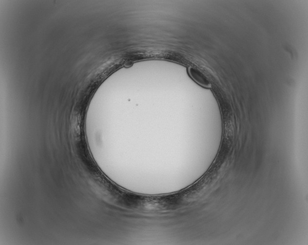 X0000112930264200909141339