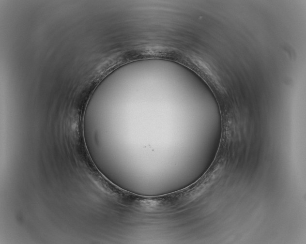 X0000112930265200909141339