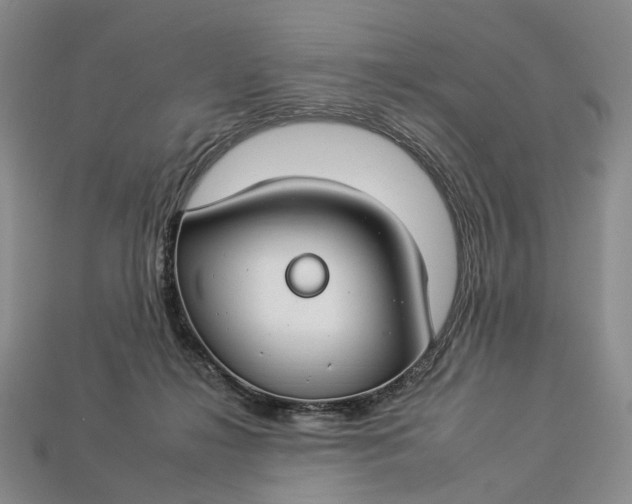 X0000112930268200909141339