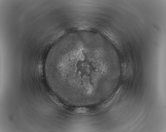 X0000112930269200909141339