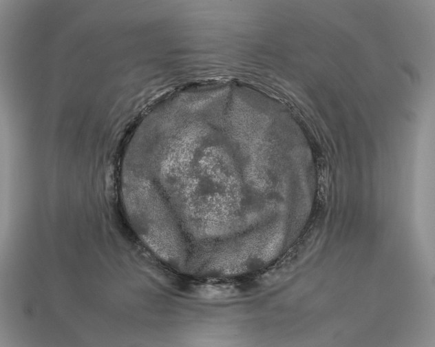 X0000112930270200909141339