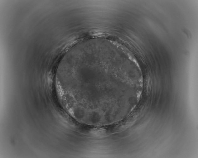 X0000112930271200909141339