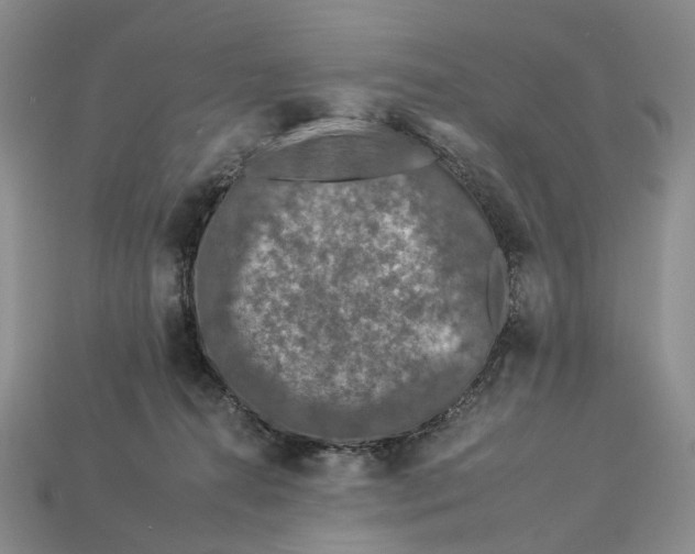 X0000112930272200909141339