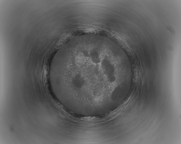 X0000112930273200909141339