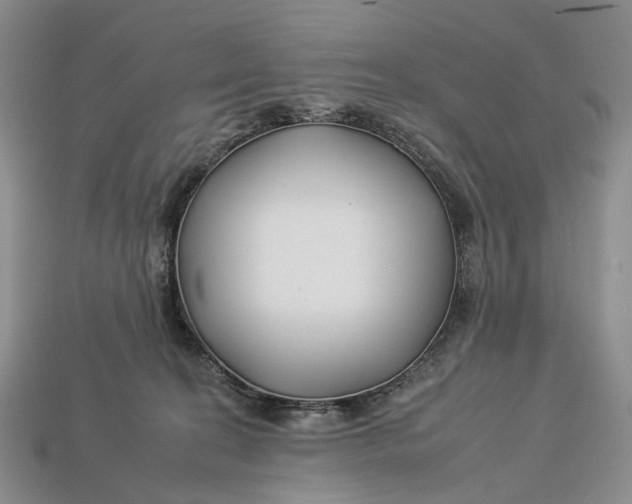 X0000112930274200909141339