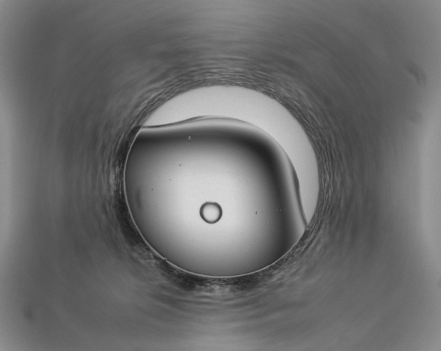 X0000112930276200909141339