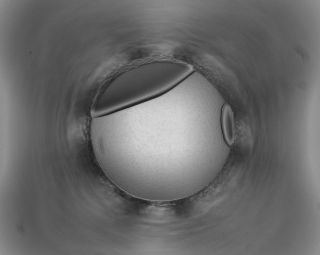 X0000112930280200909141339