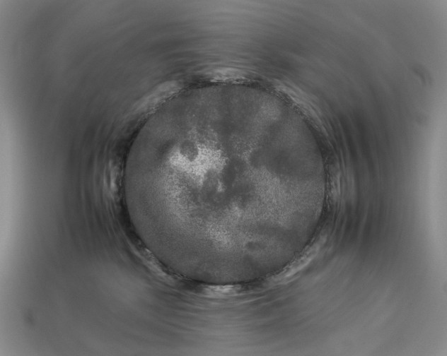 X0000112930281200909141339