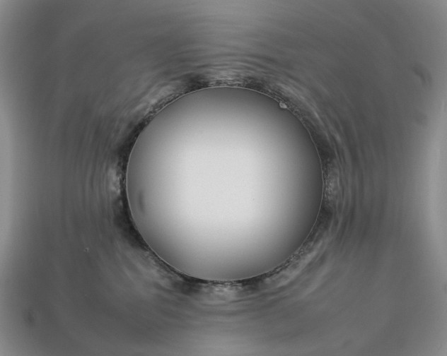 X0000112930282200909141340