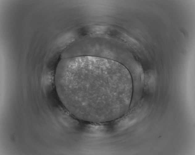 X0000112930284200909141340