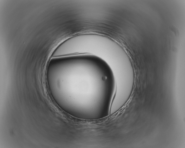 X0000112930289200909141339