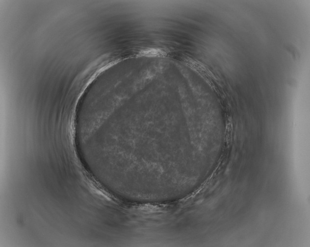 X0000112930290200909141339