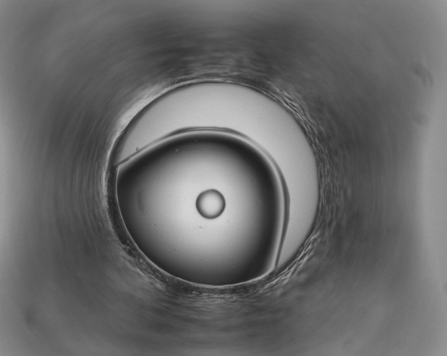 X0000112930292200909141339