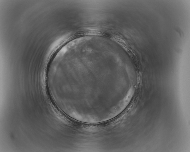 X0000112930293200909141339