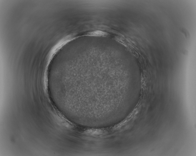 X0000112930294200909141339