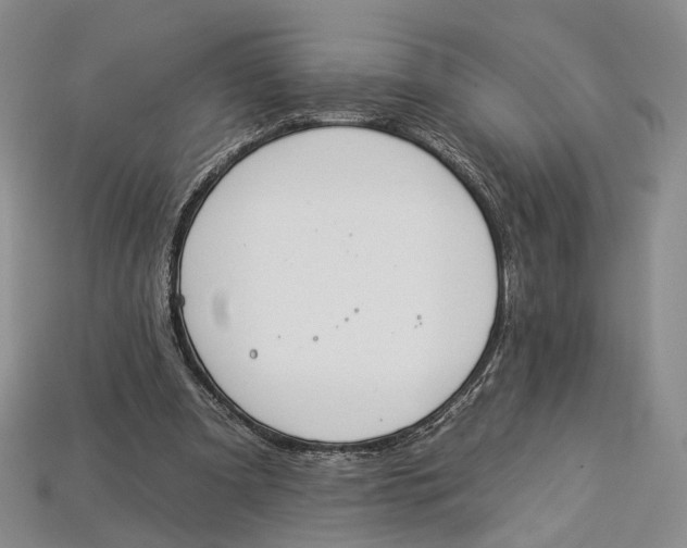 X0000112930297200909141339