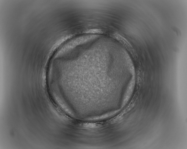 X0000112930298200909141339