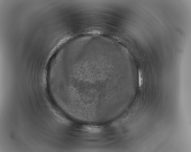 X0000112930300200909141339