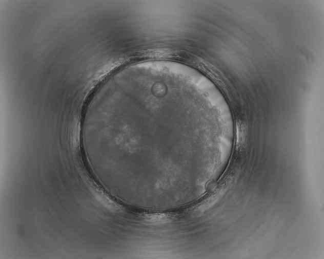 X0000112930301200909141339