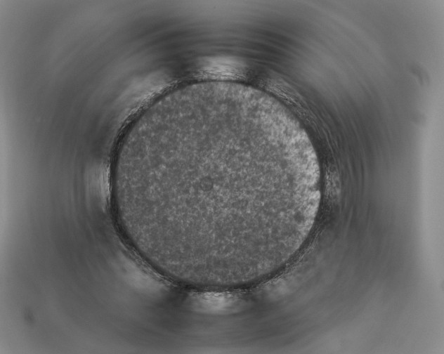 X0000112930302200909141339