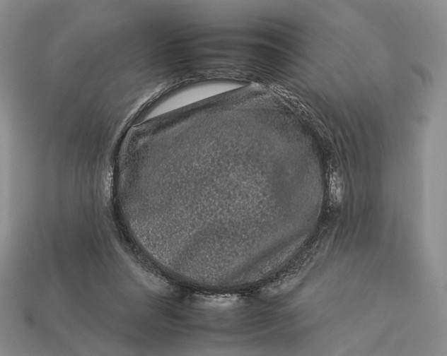 X0000112930304200909141339