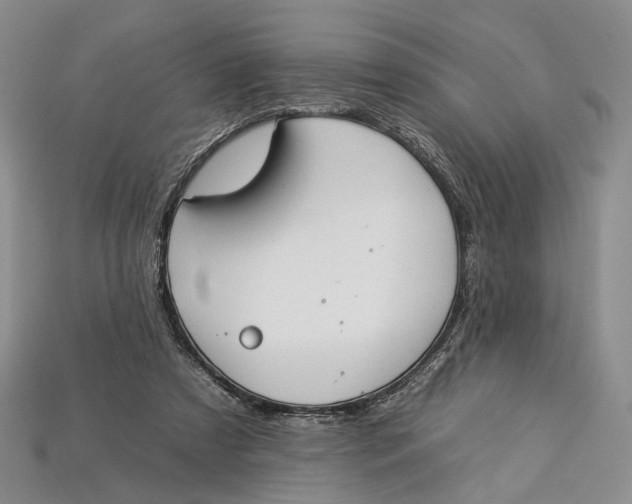 X0000112930305200909141339