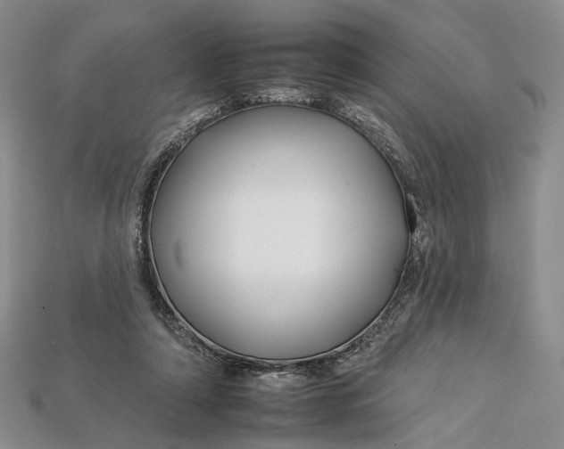 X0000112930306200909141339