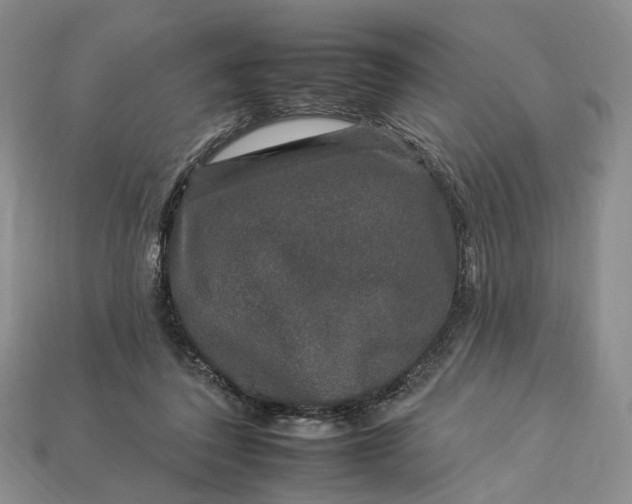 X0000112930308200909141339