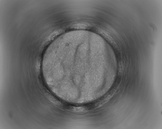 X0000112930309200909141339