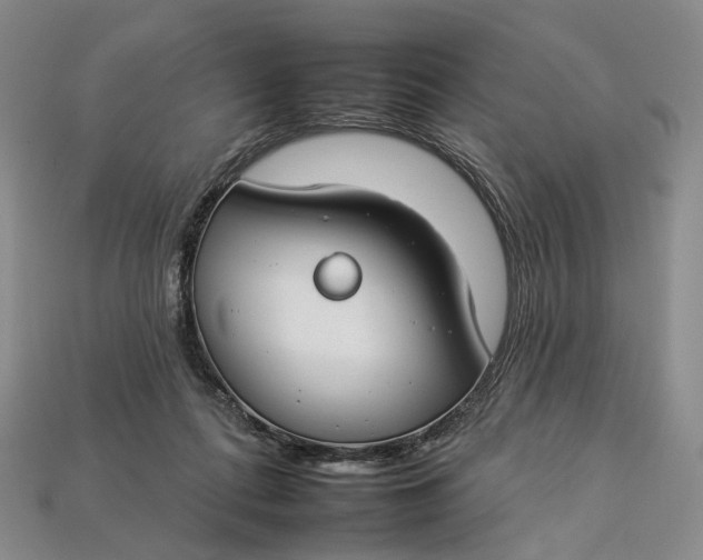 X0000112930312200909141339